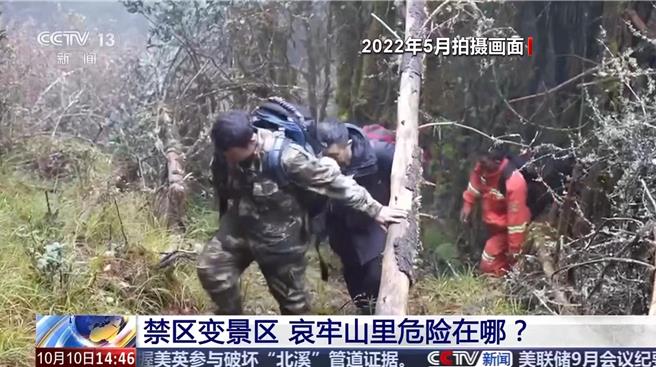 云南神秘哀牢山，记者回忆：「鸟类叫声像人说话，令人毛骨悚然。」（央视新闻截图）