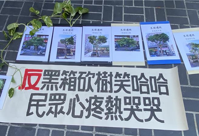 中市崇德路人行环境改善工程上月底移除9棵行道树，台中护树团体12日举办「行道树告别式」抗议，要求暂缓、提出理由，行道树处置资讯建立公开公民参与机制。台中市府建设局回应表示，经专家全面健检后，移除有公安疑虑行道树，未来将补植不易浮根树木。（陈淑芬摄）