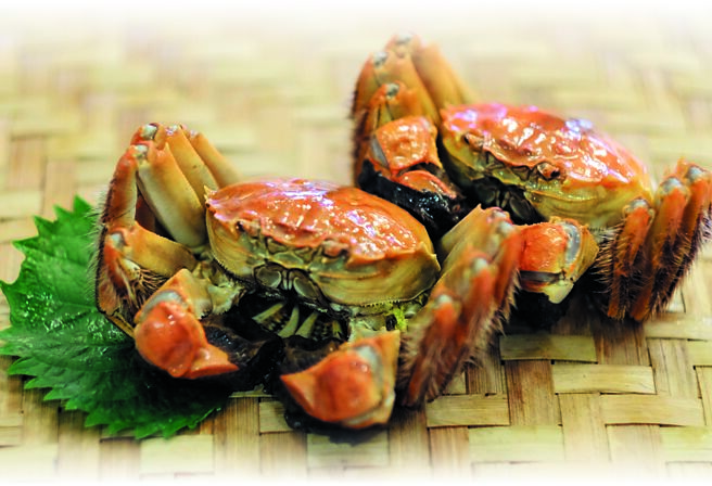 台北花園大酒店〈翠庭〉中餐廳有來自洪澤湖的大閘蟹，與紫蘇葉一同蒸製。圖／業者提供