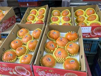 桃市復興區甜柿大出 農會、區公所大力行銷