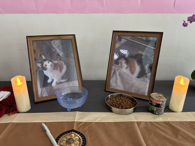 「乐乐」疑遭玄大学生虐杀，校方脸书惨被洗版。（图／翻摄自校方脸书）