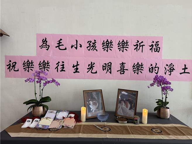 玄奘大学在图书馆布设三花猫「乐乐」的追思灵堂。（摘自玄奘大学脸书／陈育贤新竹传真）