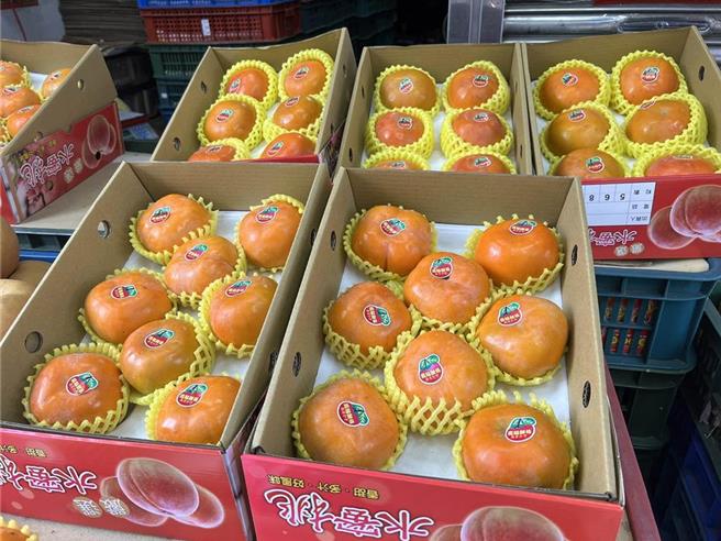 每年10月进入甜柿产季，桃园市復兴区因海拔高、日夜温差大、土质易排水，生产的甜柿清脆多汁，甜度高达12至15度。（吕筱蝉摄）