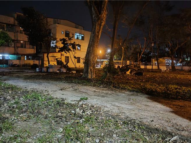 大寮里開封公園內倒下的樹木在13日晚上清理完畢。（蕭清翔提供／郭良傑高雄傳真）