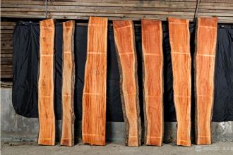 中部国产材零售中心售枯危木 台湾扁柏、香杉等珍木上架