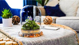 嘉大生赴美實習 創意植栽上架電商成功賣出