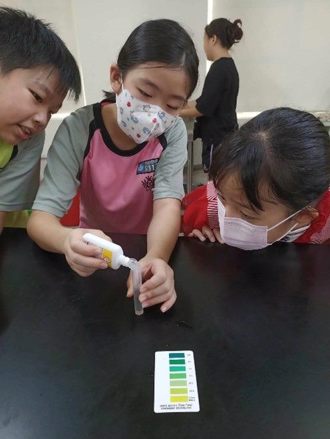 北市教育局與海科館攜手40所國中小變身海洋保育基地共同養殖鱟魚