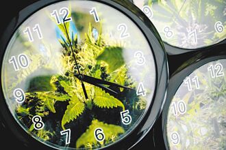 毒枭成西欧一大威胁