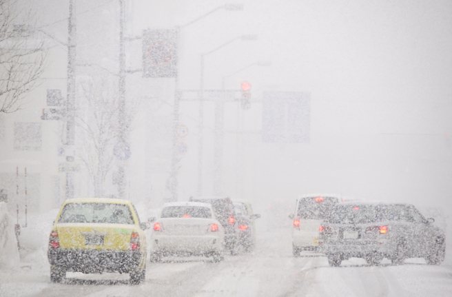 去年冬天在北海道爆发的「雪虫危机」，今年很可能卷土重来。（示意图。图：shutterstock/达志）