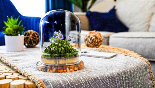 嘉义大学4位学生暑假到美国农业新创生物科技公司实习，学生产品上架后成功卖出。（嘉义大学提供／吕妍庭嘉义传真）