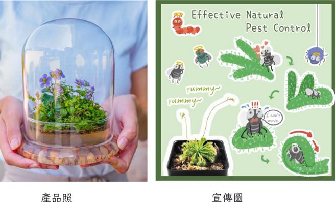 嘉义大学4位学生暑假到美国农业新创生物科技公司实习，学生产品上架后成功卖出。（嘉义大学提供／吕妍庭嘉义传真）