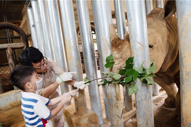 学员可学习白犀牛的保育照护、兽医知识等。（六福旅游集团提供）