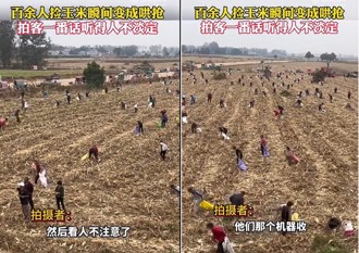 你收割我明抢！600名陆老闯农田抢玉米 警察到了也没用