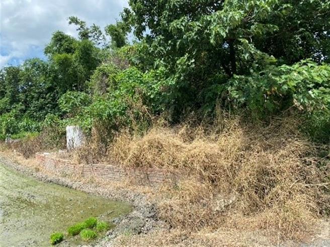 六脚乡湾内这块公有土地部分是殡葬设施，另有部分被当成杂作使用，推测占用时间恐数十年。(嘉义县政府提供／吕妍庭嘉义传真)