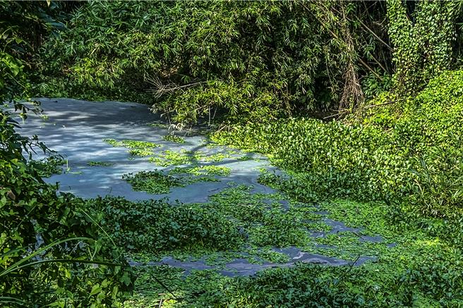 峨眉乡石井溪污染，环保局指是喷漆类的粉状事业废弃物，疑业者偷排入石井溪「毁尸灭迹」，将併案交由警方查办。（新竹县环保局提供／罗浚滨新竹传真）