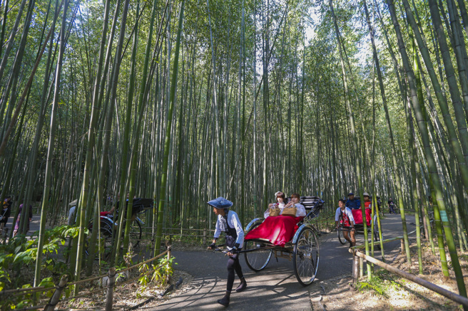 京都市岚山竹林，也是台人访日最爱去的景点之一。（陈麒全摄）