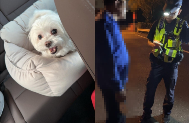 经纪人表示，幸好在后座的狗狗平安无事，而他仅受到严重的撞击，头部去撞到玻璃。（图／翻摄陆筱晴经纪人IG）