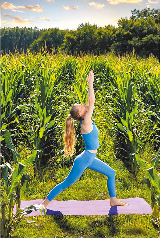 萊卡LYCRA ADAPTIV纖維廣受全球品牌及零售商的認可，可為運動服、貼身內衣、牛仔服裝等提供包容性尺碼和第二層肌膚般的貼合效果，並提高動態舒適度及布料功能性。圖／萊卡公司提供