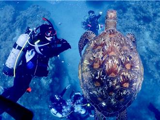 潜水安全不容忽视！垦管处与专业医师携手 提升潜水医学知识