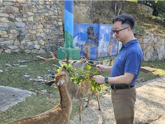 盼兩岸走和平之「鹿」 羅文嘉倡贈大坵梅花鹿給福州 