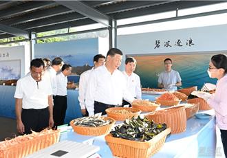 習近平考察福建東山 瞭解傳承「紅色基因」和文化遺產保護