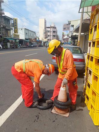 雲林發現埃及斑蚊完整族群 北港鎮啟動「除斑」計畫