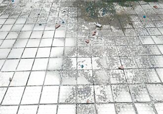 樹林高中泳池老舊 教局補助595萬招標