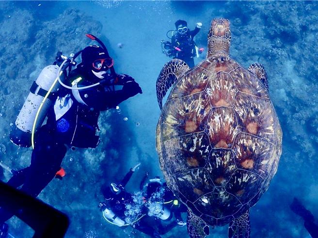 美丽的海底世界，吸引愈来愈多人从事潜水活动。（万德福潜水提供／罗琦文屏东传真）