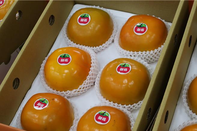 五峰甜柿產季到了，消費者下手要跟猴子比速度，不然都被猴子玩光。（邱立雅攝）