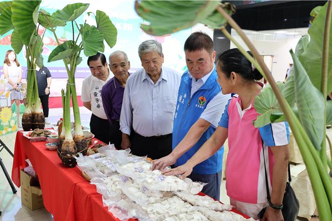 2024年香芋銅鑼庄產業文化活動，訂在11月9月在銅鑼鄉中平村集會所舉行，苗栗縣長鍾東錦了解芋頭冰藏保鮮的程序。（謝明俊攝）