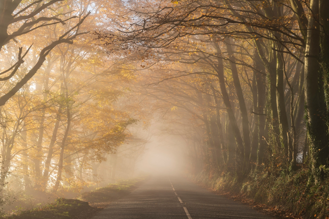 命理專家指出，霜降節氣到來，可穿搭紅色服飾或吃暖色系水果開運。（示意圖：Shutterstock／達志）