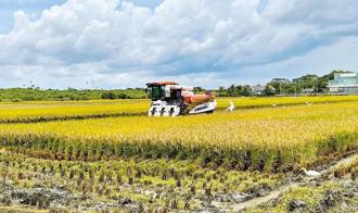 就是不想多花錢？農業部：公糧提高5元至少多編91億