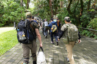 蒋德纲快评》黑熊们要衝了？