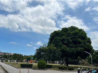 睡醒獲千萬遺產 82歲男繼承竹市精華土地