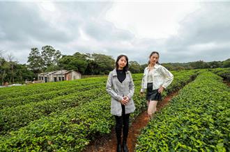 竹縣「湖口茶香步道」開啟低碳旅遊 獲城鄉魅力賞佳作