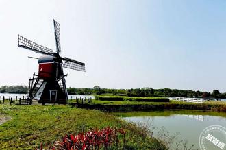 免搭機秒飛荷蘭！去台南德元埤露營、划獨木舟