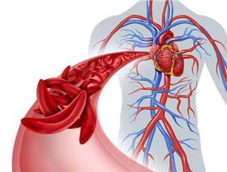 好膽固醇不是越高越好 醫揭心血管死亡風險