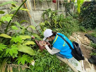 登革熱病例曾造訪風城 竹市府啟動全面防治措施