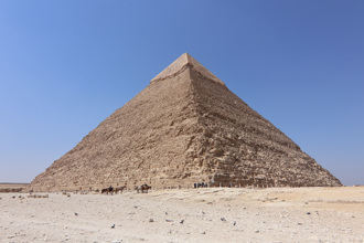 埃及遇「阿努比斯神」？138公尺高金字塔頂驚現黃狗