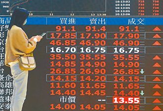 外資＋國家隊看好 16檔逢低買