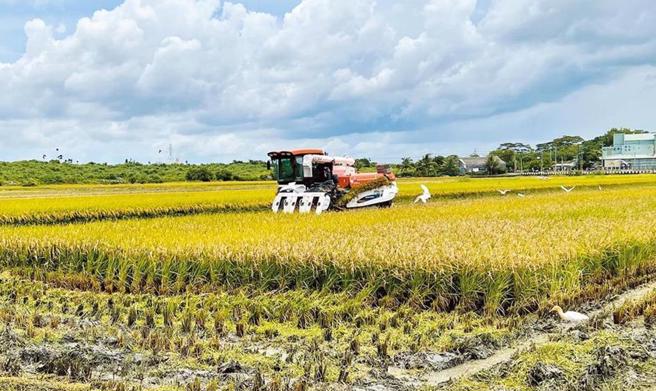 立法院上會期通過主決議要求農業部應把公糧收購價提高5元，農業部並未在2025年編列預算也是導致總預算卡關的原因之一。（報系資料照）