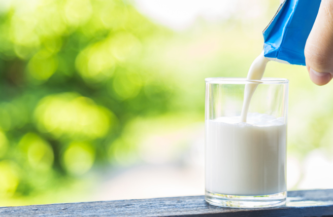 农业部部长陈骏季表示，希望能够在本学期让每校都能喝到牛奶，已下订的部分会协调乳厂增供，有意愿下订会予以媒合，后续会以不增加学校及县市政府负担规划。（图：shutterstock／达志）
