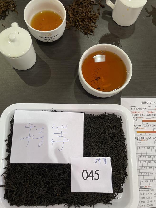 2024日月潭紅茶評鑑成績17日出爐，台灣山茶由王文禧蟬聯特等獎，預計11月2日「日月潭紅茶文化季」進行頒獎。（楊靜茹攝）