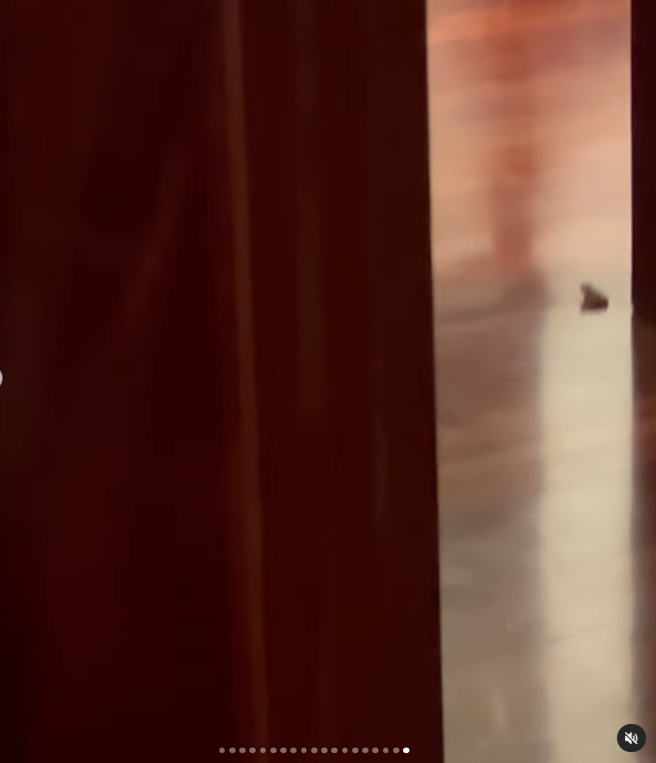 IU房间被青蛙闯入，影片吓到手抖。（图／翻摄自 IG @dlwlrma）