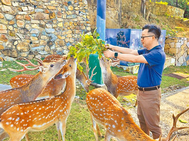 海基会16日倡议赠送大陆福州动物园一对梅花鹿，命名为「和和」、「平平」，寓意两岸「和平之鹿」。（陈冠宇摄）