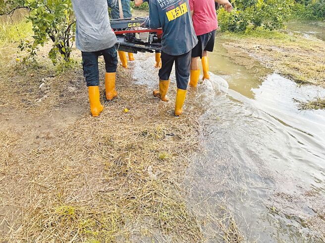 張姓公務員找5個大漢把故障動不了的遙控割草機抬出農園。（張姓男子提供／周麗蘭雲林傳真）