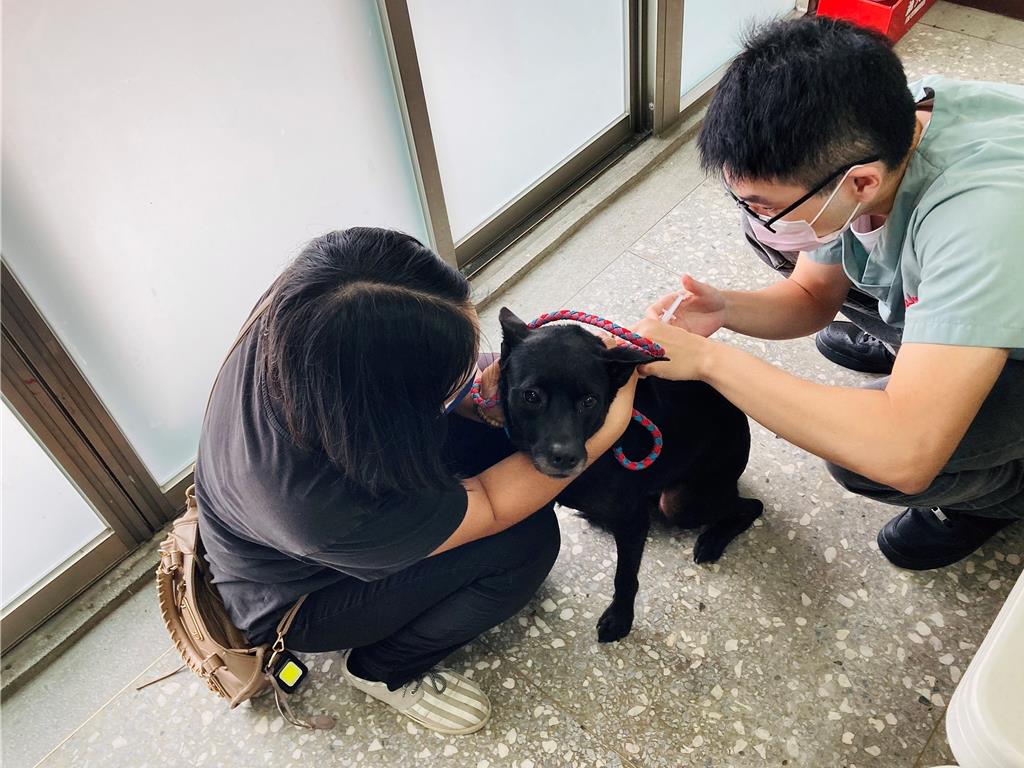 不打狂犬病疫苗就開罰 北市2擺爛飼主挨罰3萬元