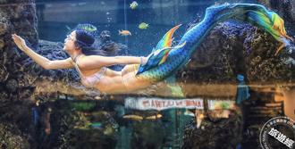 大叶高岛屋30周年庆 人鱼秀、味全龙见面会独家登场