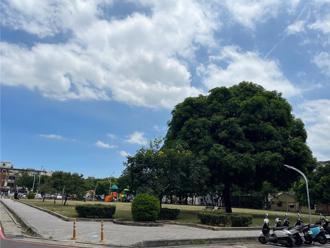 睡醒獲千萬遺產 82歲男繼承竹市精華土地