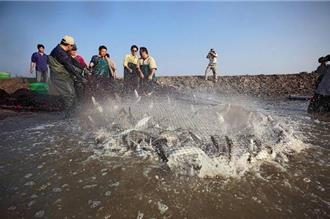 台灣國民美食 日本人評價美味度僅2星 老饕一看秒懂